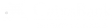 2019_CaixaBank_Logo_Payments&Consumer_white